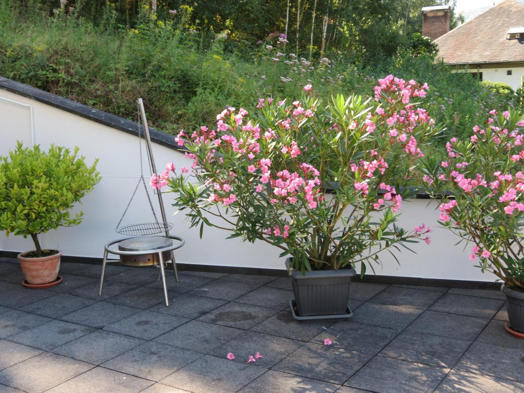 Ferienwohnung Berens โคเคห์ม ภายนอก รูปภาพ